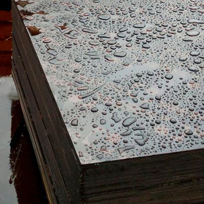 Formwork Plywood